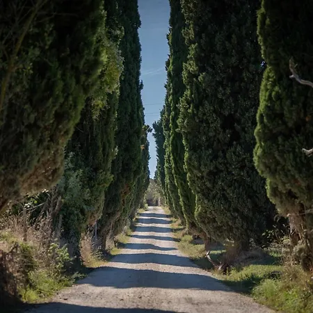 Poggio Delle Ginestre B&B 오르비에토