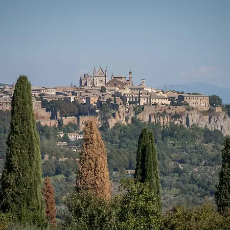 Poggio Delle Ginestre Bed & Breakfast