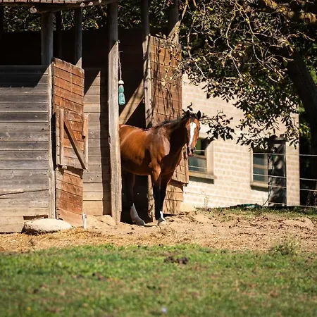 Poggio Delle Ginestre 3* Orvieto