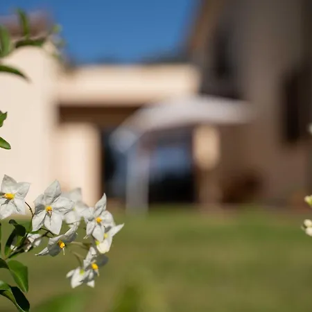 Poggio Delle Ginestre Bed and breakfast Orvieto