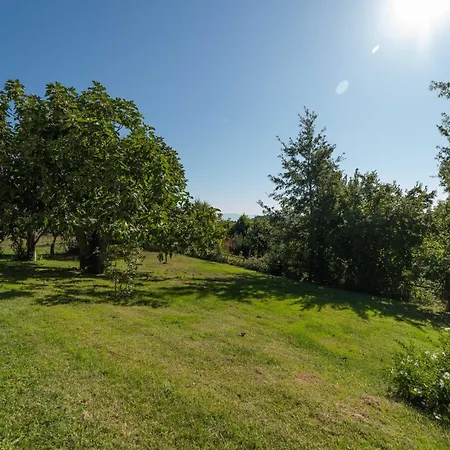 Bed & Breakfast Poggio Delle Ginestre *