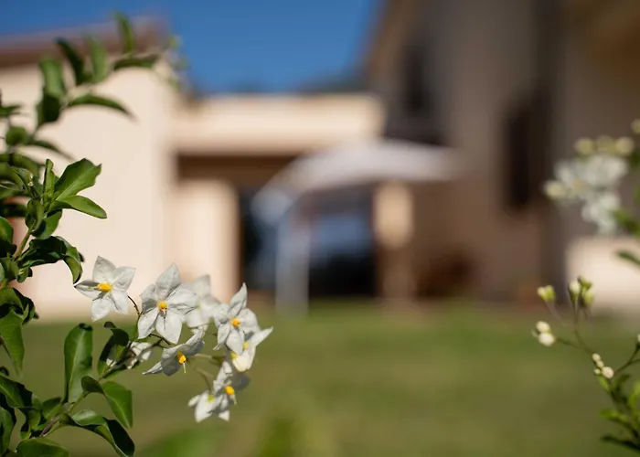 Poggio Delle Ginestre Bed & Breakfast Orvieto
