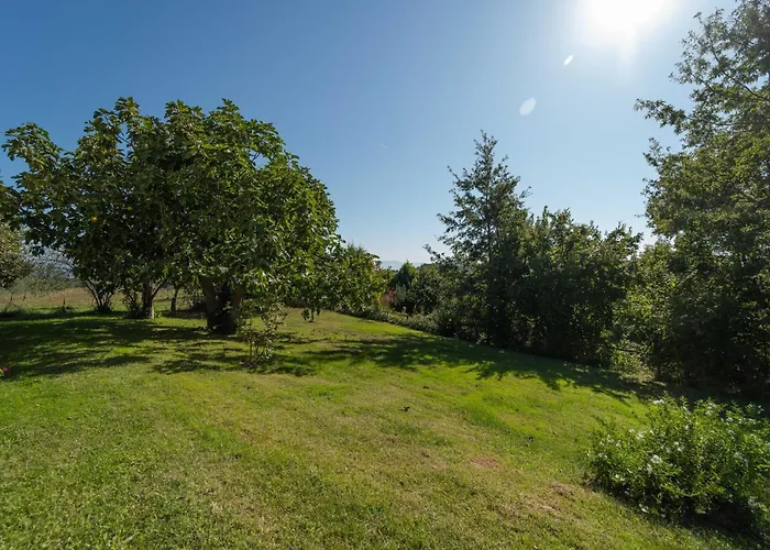 Bed & Breakfast Poggio Delle Ginestre 3*